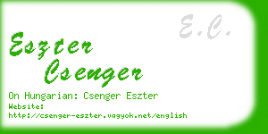 eszter csenger business card